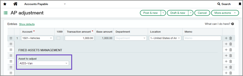 AP adjustment page showing the Asset to adjust field on one of the lines.